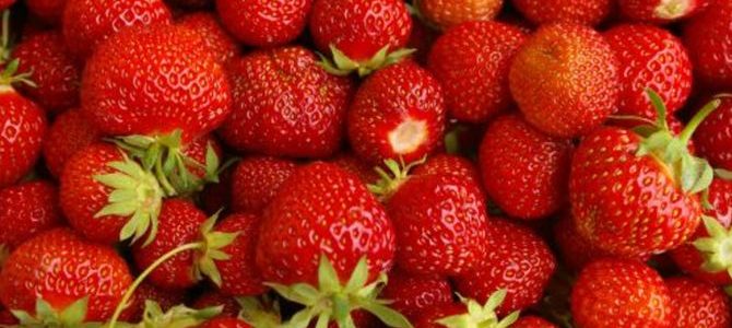 Ekologiczne truskawki? Łatwiej niż myślisz!