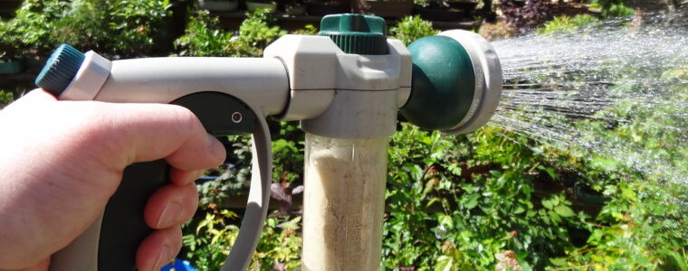 Nawożenie truskawek – klucz do udanej uprawy. Czym, jak i kiedy nawozić truskawki?