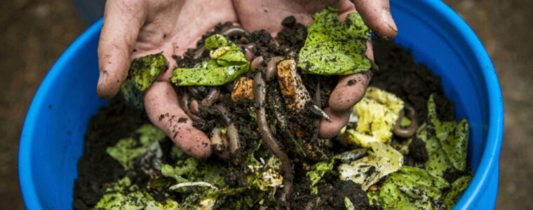 Kompost w ogródku. Czy warto go zastosować? A jeżeli tak, to czy jego przygotowanie jest trudne?