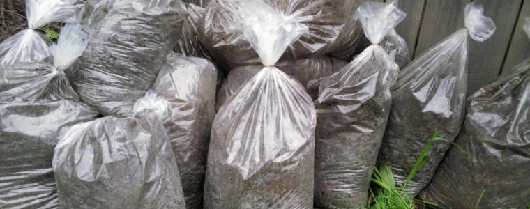 Jaka jest różnica między tradycyjnym obornikiem a obornikiem granulowanym? Co lepsze?